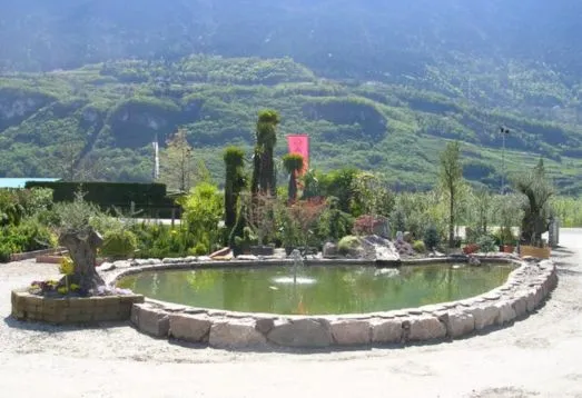 stagni, stagni da nuoto e laghetti