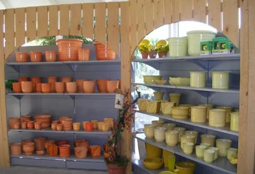 vasi in ceramica, terracotta e plastica