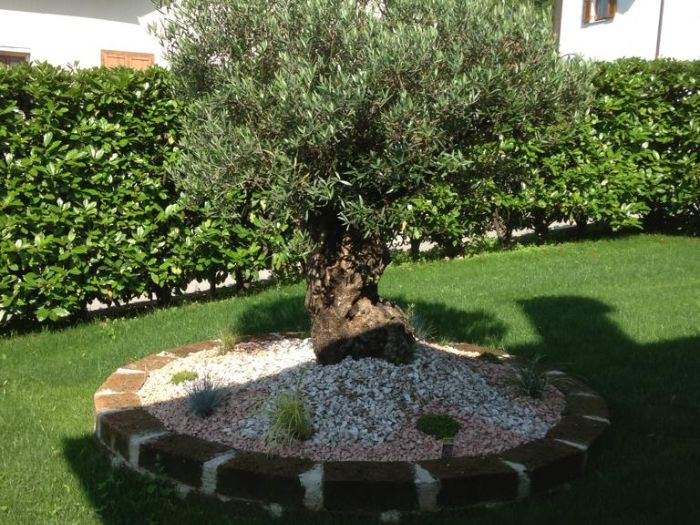stefans-garden giardini privati (4).jpg
